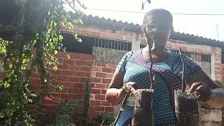 Continuação do plantio de Buganville...💮💮💮😄