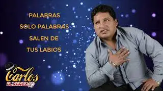 Palabras Tan Solo Palabras - Carlos Alvarez Torres (Primicia)
