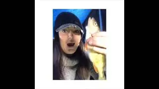 Ice Fishing For Perch on Mitchell&rsquo;s Bay Lake St. Clair January 2019