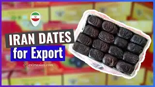 Iran Mazafati Dates for Export | EXIM Asian International Trading Group