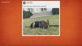 First Dog as new Commanders mascot? | It's A DC Thing
