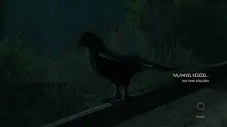 The Witcher 3: Wild Hunt - just a raven