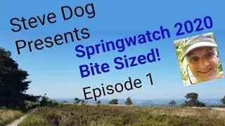 Springwatch 2020 Bite Sized Episode 1 with Steve Dog