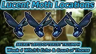 ALL Lucent Moth Locations Week 4 (Witch's Echo & Court of Thorns) | Destiny 2 Season of the Risen