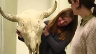 University of Colorado Mammalogy Collection Campaign