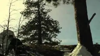 LFSNS Boardshop - Trever Haas - One Trick