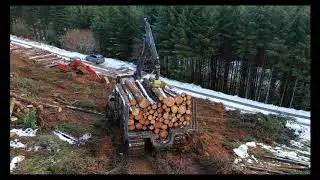Worrell Harvesting Ltd with Ponsse Machines