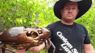 Mud Crabbing land based North Queensland part 2