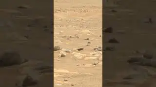 NASA's perseverance rover showing small stones of mars. #nasa #spaceview #planet #mars #moon#space
