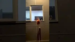 Best Scare Prank On Couple...