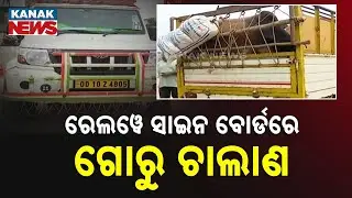 Illegal Cattle Smuggling Under the Guise of Railway Department in Koraput