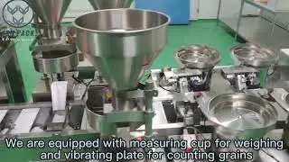 ZON PACK Multi-product simultaneous mixing and packaging vertical system