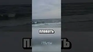 Рыболовный дрон-спасатель