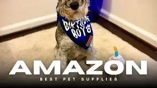 Dog Birthday Party Supplies 🎉🐶 | Colorful Hat, Bandana & Bow Set for Large Dogs!