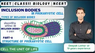 INCLUSION BODIES in Prokaryotes 🦠 | Types of INCLUSION BODIES | Structure of Prokaryotic Cell Part-6