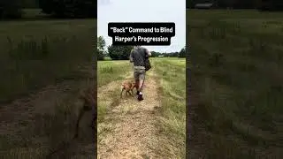 Intro to Back Cast on Basic Blind