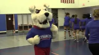 This Is Terriers Volleyball