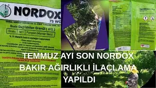 TEMMUZAYI SON NORDOX BAKIR AĞIRLIKLI  İLAÇ ATTIK