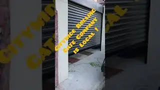 Automatic Driveway and Storefront Gate | (267) 578-2042 | The Best Rolling Gate Company