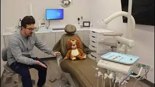 Cleaning and Tooth Counting for Kids.