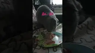 Балуем Маню вкусняшками ❤