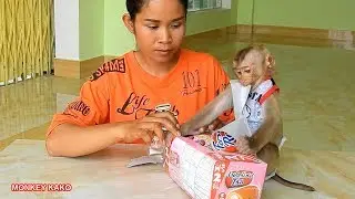 Monkey Kako Help Mom Unpack Fershay Roll Strawerry Cake | Baby Monkey Eat Cake