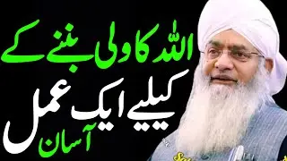 Allah Ka Wali Banne Ka Aasan Amal | Maulana Peer Zulfiqar Ahmed Naqshbandi | Islamic Bayan