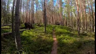 Paistj&auml;rvi, Heinola: Ketturiutta - Sonnanen