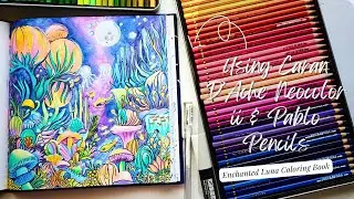☘︎ Discover the SECRET to Muted Vibrant Coloring with Caran D'Ache Neocolor ii &  Pablo Pencils ☘︎