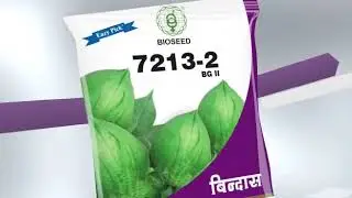 #BIOSEED #Cotton #BINDAAS #Marati