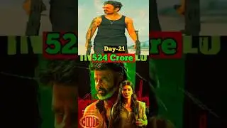 Coolie Collection Day 21