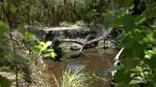 Three Lakes WMA