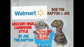Walmart Grocery Haul Carenivore Style Bob the Raptor & Joe Dinosaur Groceries