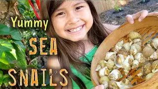 CAMBODIAN KIDS HOW to cook yummy sea snails