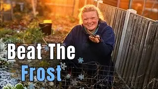 Live Q&A - Self-Sufficiency Secrets Your Grandparents Knew ⭐
