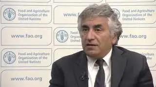 Abdolreza Abbassian, FAO's Senior Economist, on November Food Price Index