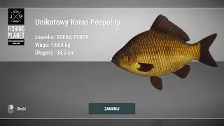 Fishing Planet Tiber River Italy Unique Crucian Carp | Unikatowy Karaś Pospolity #fishingplanet