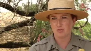 JESSE MOLONEY TWC SPECTRUM NEWS National Park Series