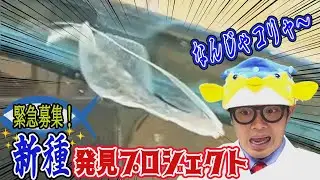 【ナニコレ珍魚】是非ご連絡下さい！ギョ一緒に新種発見しましょう！【新企画】
