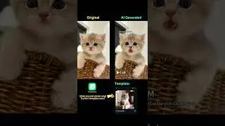 Make any pet talk or sing with DreamFace. You can create any videos with pet lipsync templates