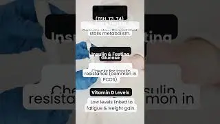 If your weight isn&rsquo;t budging despite diet and exercise, these tests can reveal hidden roadblocks