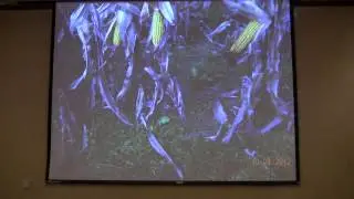 Farmer/Soil Health Adovcate Dave Brandt talks on why Soil Health is Important