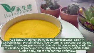 Pumpkin Powder Spray Dried