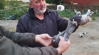 MATBACILAR  KARSLI KENAN  YAĞLI BEYAZLAR KAYSERİ BEYAZLARI  BU AKŞAM YAYINDA