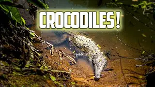 2 Days CORCOVADO Adventure! Most BIODIVERSE place in the world | Costa Rica Road Trip