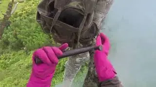 Harvesting Wild Honey While Giant Bees Attack FX2GOUDFglA part2
