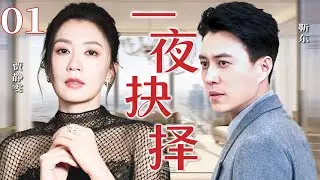 【2026精彩都市剧】一夜抉择01| 妻子面对旧爱重逢与丈夫生死抉择，她必须在爱情、责任与家庭之间找到平衡，展开一段大女主逆袭传奇！主演：贾静雯，靳东
