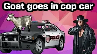 Goat goes in a cop car (I talk about my Texas trip)