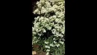 20150702 145914