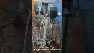 #ZHAOYUAN PUMP# CDLF Inline Water Pump Test